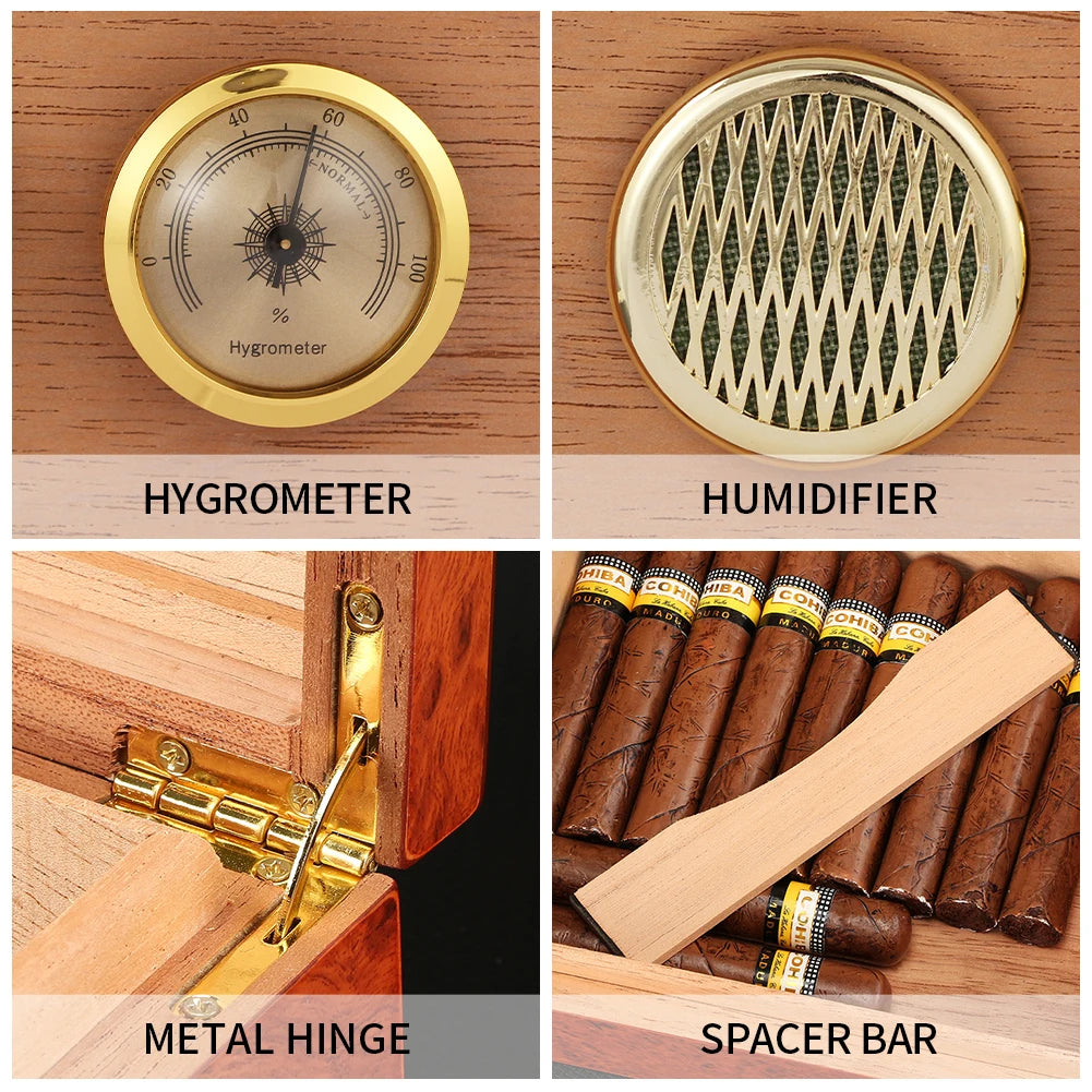 Close-up of cedar spacer bar and cigar compartments inside humidor